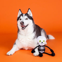 Got A Bone To Pick Plush Rope Toy