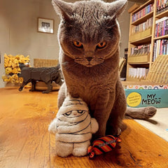 Mummy Refillable Plush