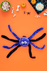 Spiderz - Small Purple