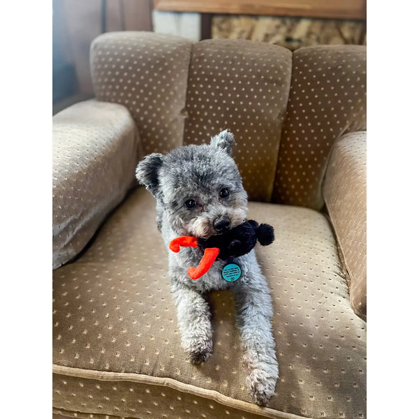 Kram- Puss crinkle Toy