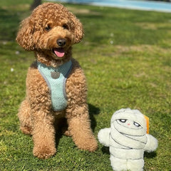 Mummy Plush