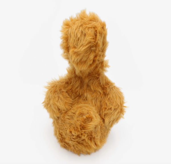 dog toy