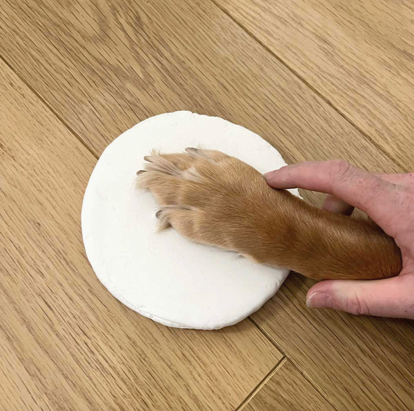 paw on clay