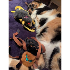 Ann the Spider Crinkle Toy