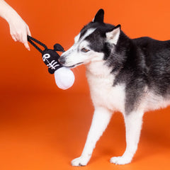 Got A Bone To Pick Plush Rope Toy