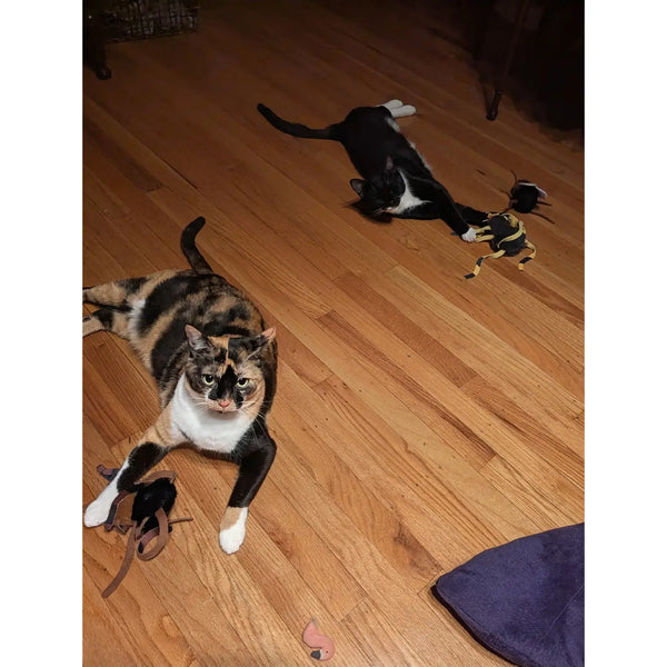 Ann the Spider Crinkle Toy