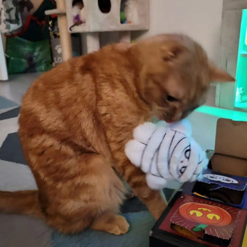 Mummy Refillable Plush