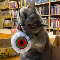 Eye Am Scared Teaser Toy
