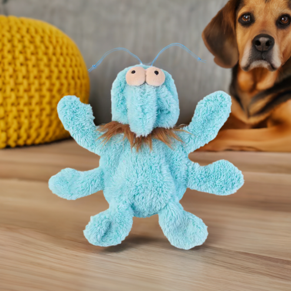 dog toy