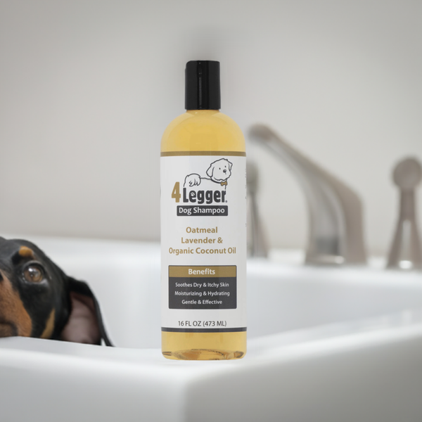 dog soap