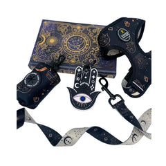 harness set with leash and poop bag and collar