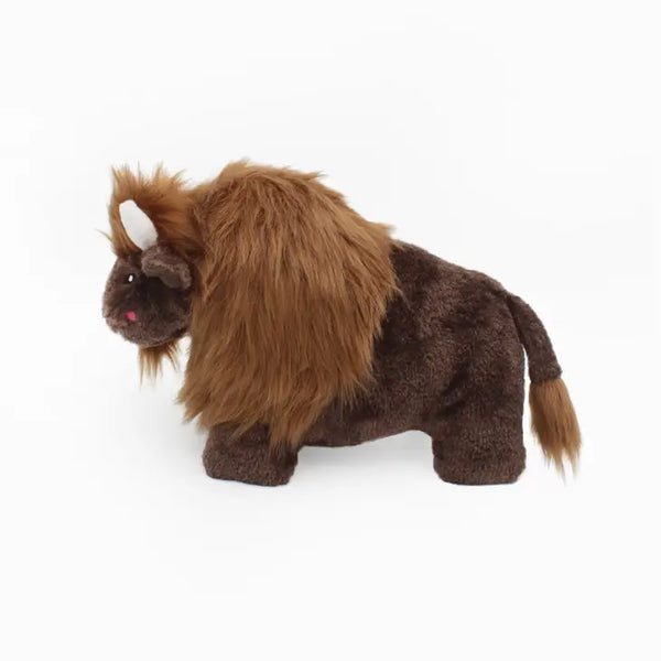 dog toy