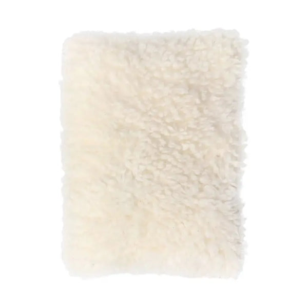 dog toy