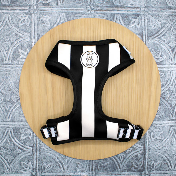 Cat or Small Dog Humbug Harness