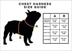 measurements for harnesses