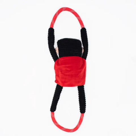 dog toy