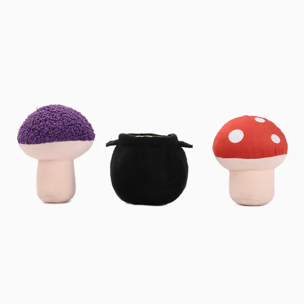 dog toy